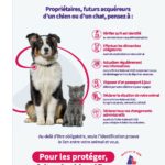 Affiche.Memo Pratique.Identification.Format. A4.HD__0-page-001