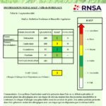 Bulletin Bordeaux_03092021-page-001