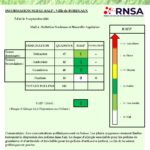 Bulletin Bordeaux_09092021-page-001