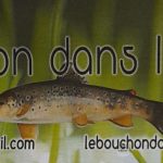 Bouchon dans l&rsquo;euille