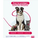 2021.Affiche.Identification.Chien.Chat.Furet.A4-page-001