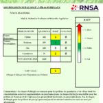 Bulletin Bordeaux_28042022-page-001