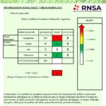 Bulletin Bordeaux_02062022-page-001