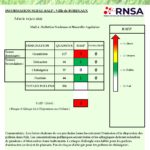 Bulletin_Bordeaux_16062022-page-001