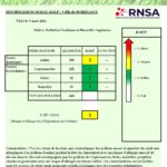 Bulletin Bordeaux_allergo pollinique 9 mars-page-001