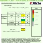 Bulletin_Bordeaux_02052023-page-001