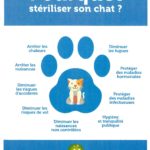 Stérilisation chats-page-001 (2)