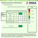 Bulletin_Bordeaux_16012024-page-001