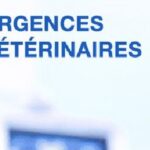 urgence véto