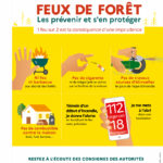 19062_sensibilisation-feuForet_AFFICHE-2019_A4 FR